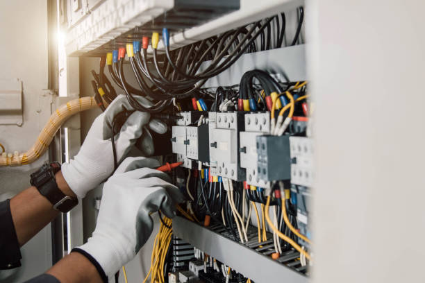 Best Local Electrician Companies  in Roxborough Park, CO